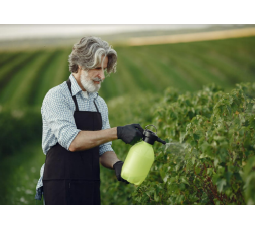 הדברת חרקים מעופפים