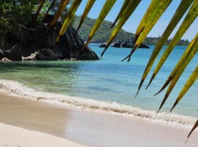 חופשה בסיישל המדריך המלא