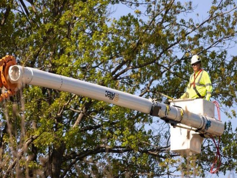 השכרת מנוף סל מחיר